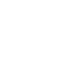 WAVE FOUNDATION